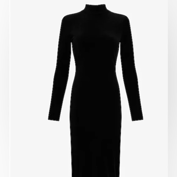Express Dresses & Skirts - NWT Velvet Black Mock Neck Dress 🎁COMES WITH A GIFT🎁